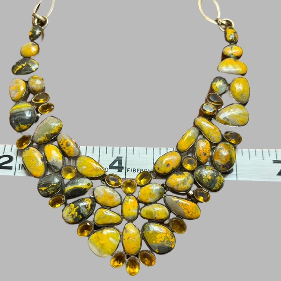 ‼️💥PRICE DROP ☄️
Bumblebee Jasper Chain Necklace - Picture 12 of 13
